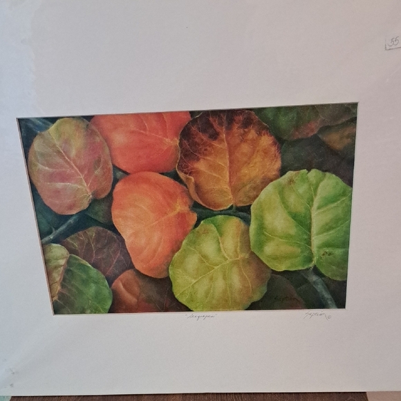 SEAGRAPES Art GICLEE Print - Picture 2 of 6